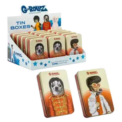 Pets Rock Large Storage Box Set 4